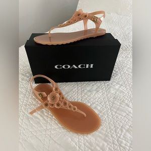 Coach Shoes Coach Tea Rose Multi Jelly Thong Sandal